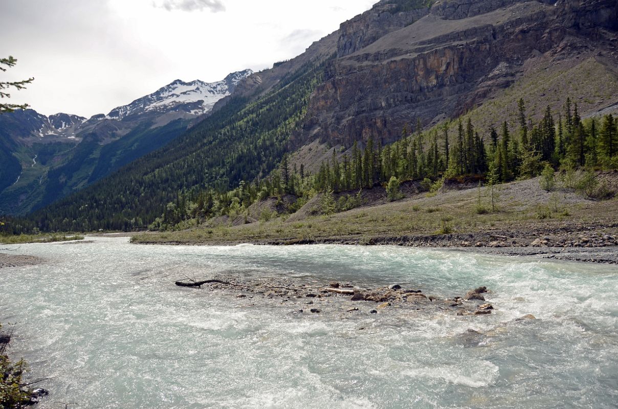 14 Robson River From Berg Lake Trail Between White Falls And Whitehorn Camp